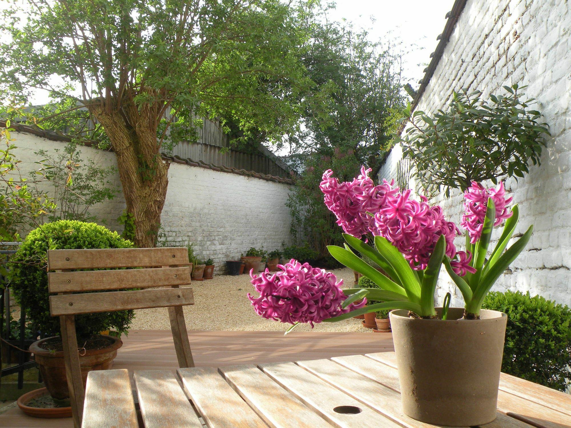 B&B Living In Brusel, Urban B&B Etterbeek Exterior foto